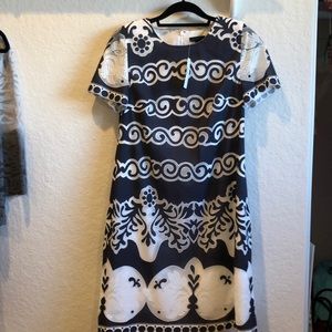 Dress! NWT Jcrew, Tall size8